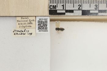 Media type: image;   Entomology 793005 Aspect: Labels